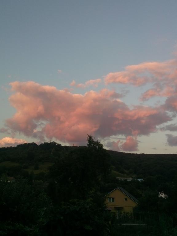 Pensiunea Sighişoara Buitenkant foto