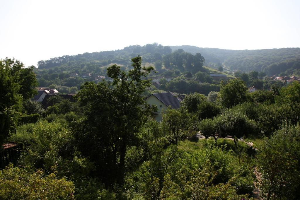 Pensiunea Sighişoara Buitenkant foto