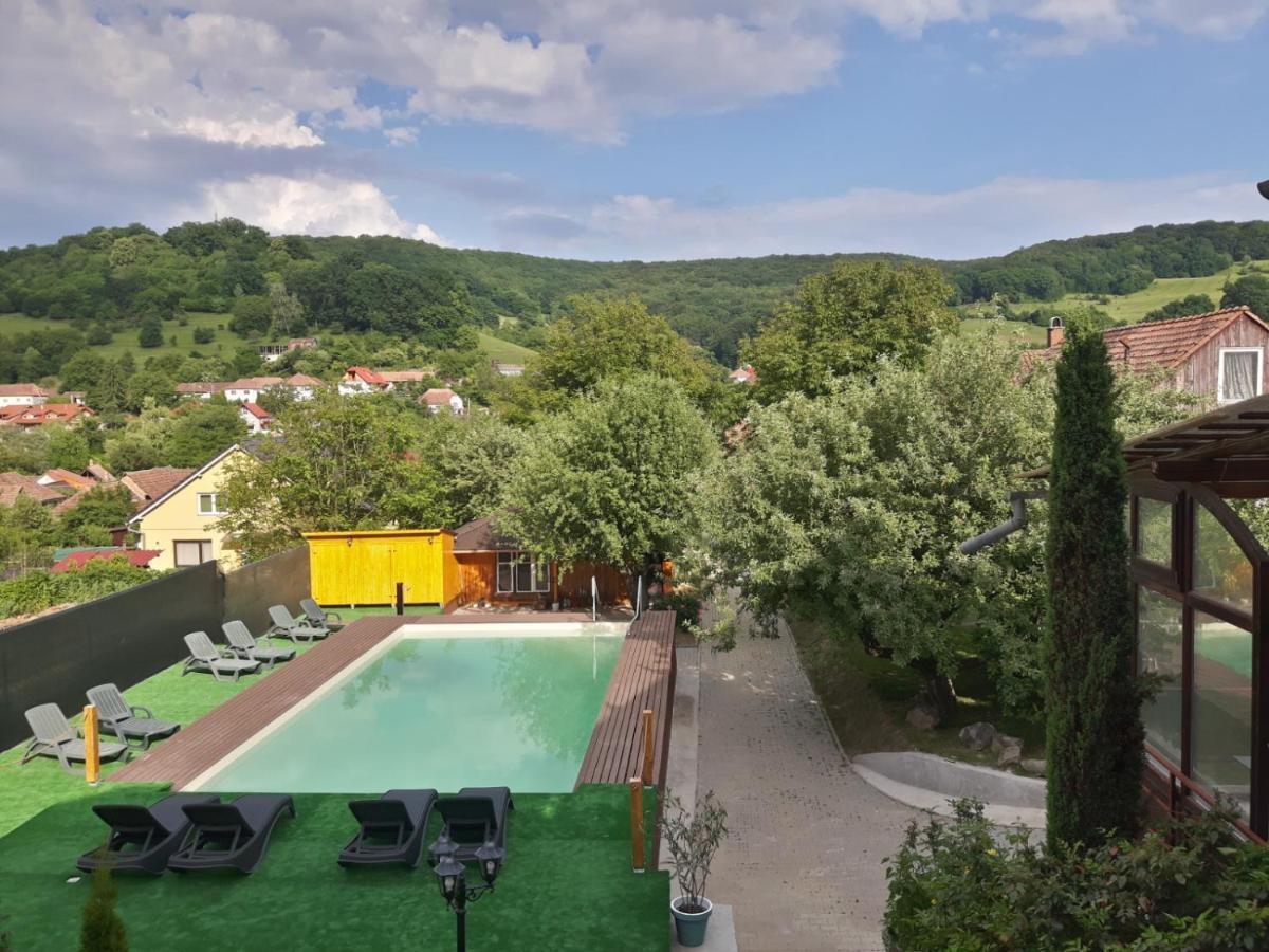 Pensiunea Sighişoara Buitenkant foto